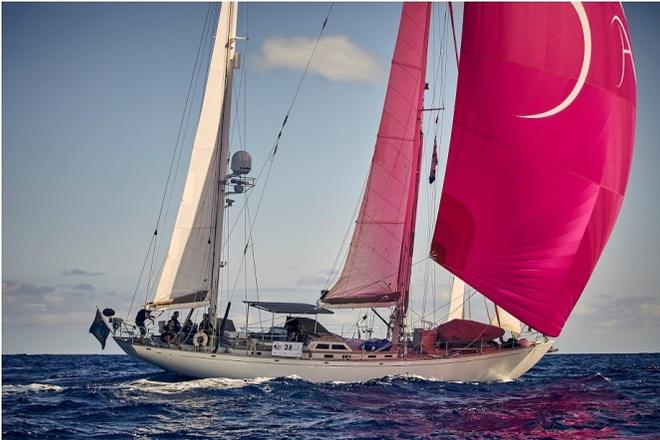 Amoenitas, Hoek 66 at the start of the ARC &copy; James Mitchell / WCC